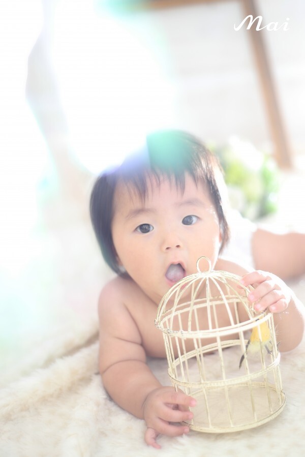 お客様写真のイメージ