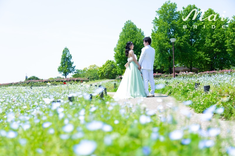 お客様写真のイメージ