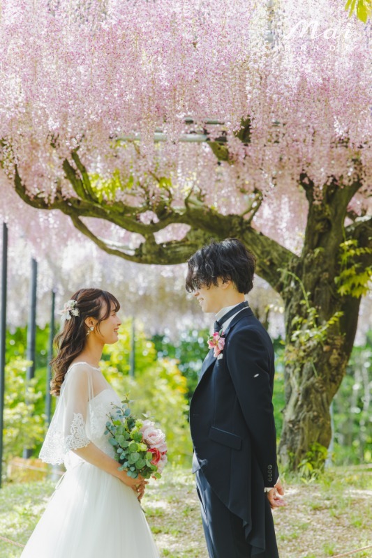お客様写真のイメージ