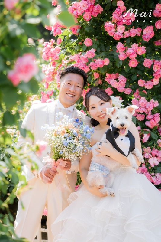お客様写真のイメージ