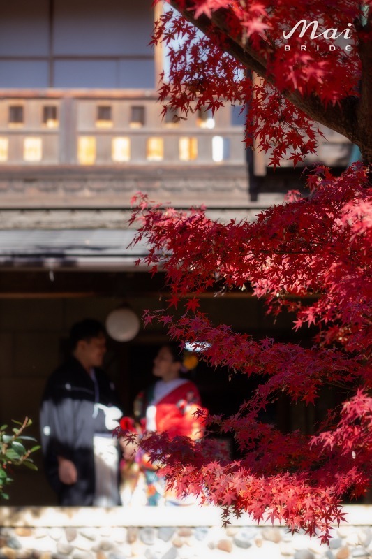 お客様写真のイメージ