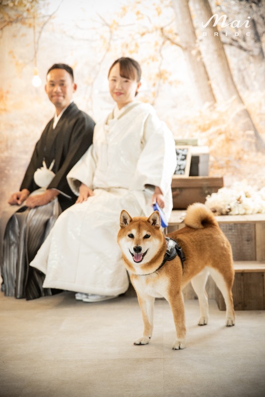 お客様の写真