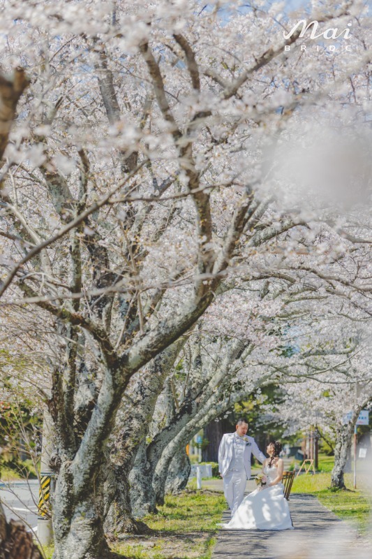 お客様の写真