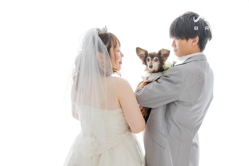 お客様写真のイメージ