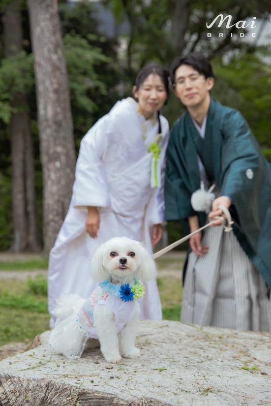 お客様写真のイメージ