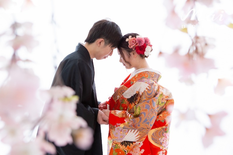 お客様写真のイメージ